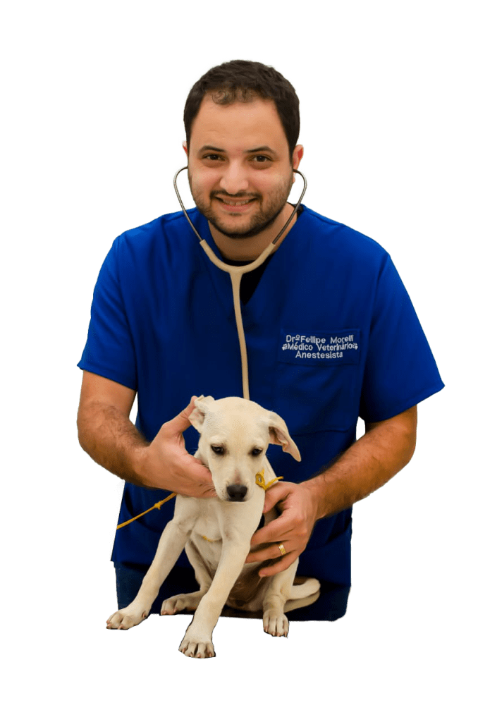 Imagem ilustratida de veterinario com filhote de cachorro